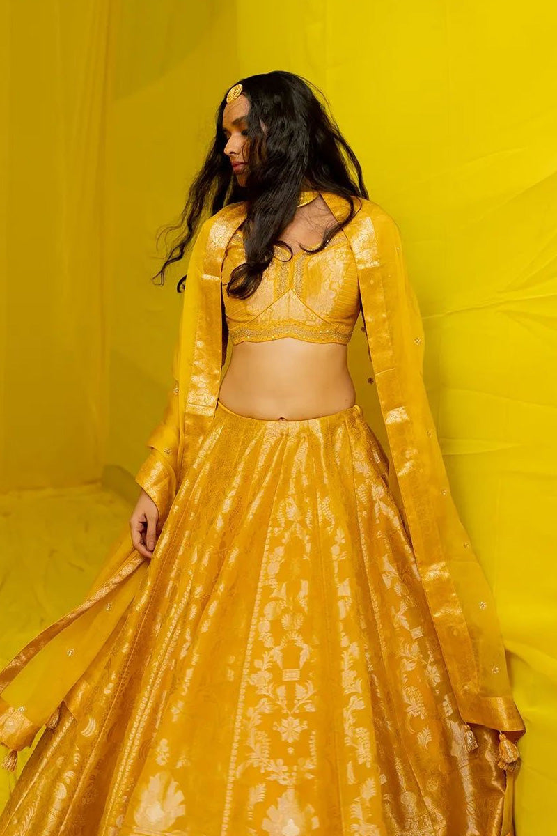 Haldi 4