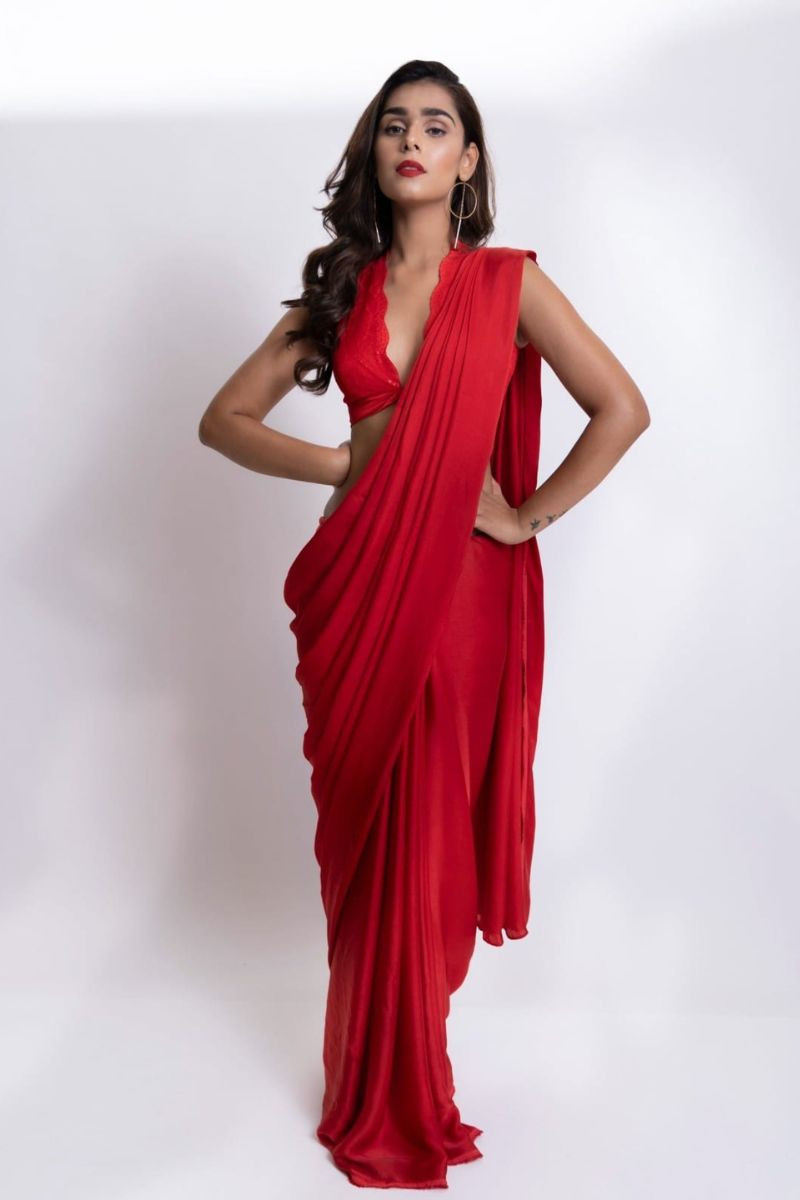 Partywear saree 19